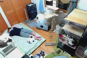 21時15分 ごろ