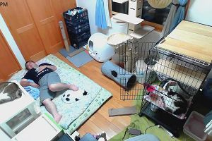 21時10分 ごろ