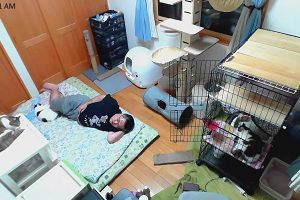 00時05分 ごろ