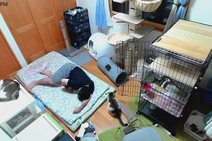 21時10分 ごろ