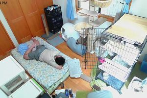 12時40分 ごろ