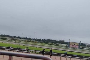 12時45分 ごろ