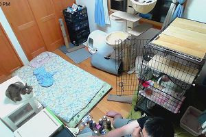 23時00分 ごろ