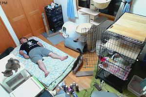 23時15分 ごろ
