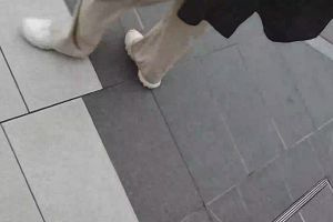11時05分 ごろ