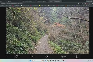 20時50分 ごろ