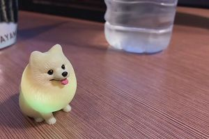 21時55分 ごろ