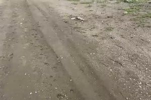 10時40分 ごろ