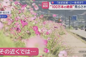 20時10分 ごろ