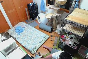 18時35分 ごろ