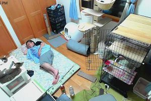 23時30分 ごろ