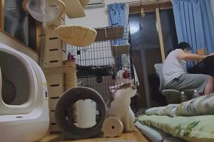 18時55分 ごろ