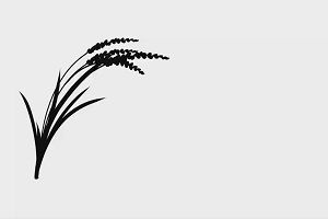 19時20分 ごろ