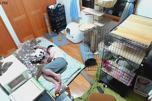 23時20分 ごろ