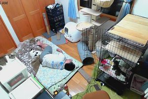 00時30分 ごろ