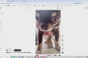 15時35分 ごろ
