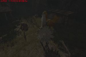 20時15分 ごろ