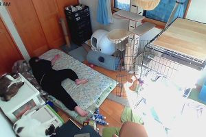 10時35分 ごろ