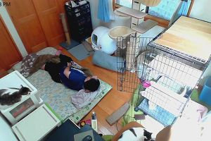 12時20分 ごろ