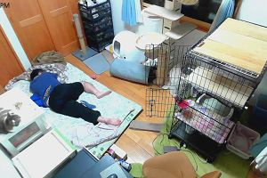 20時40分 ごろ
