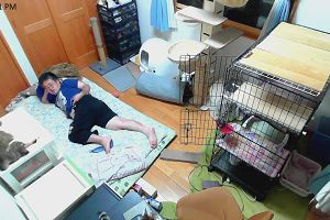 22時45分 ごろ