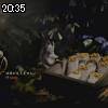 20時35分 ごろ