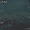 15時50分 ごろ