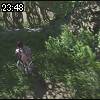 23時45分 ごろ