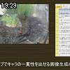 19時25分 ごろ