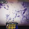 04時20分 ごろ