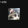 14時55分 ごろ