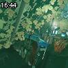16時40分 ごろ