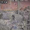 21時10分 ごろ