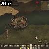20時55分 ごろ