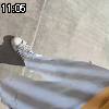 11時05分 ごろ