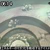06時10分 ごろ