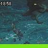 18時55分 ごろ