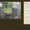14時45分 ごろ