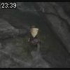 23時35分 ごろ