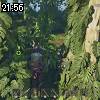 21時55分 ごろ