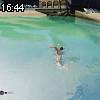 16時40分 ごろ