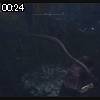 00時20分 ごろ