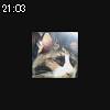 21時00分 ごろ
