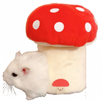 ハムスター,きのこ,ぬいぐるみ,かわいい,動物