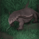 トカゲ,動物,草