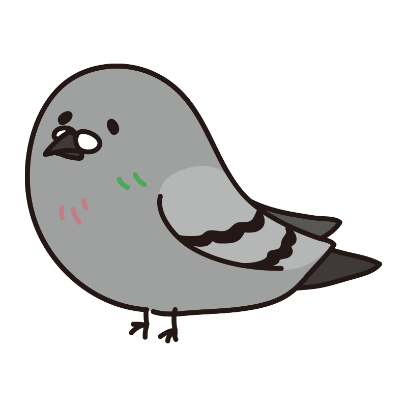 鳩,鳥,グレー,イラスト,動物,かわいい