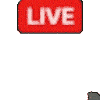 LIVE,猫,ネコ,配信,赤いラベル,テキスト入り