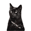 猫,黒猫,やすり,アニメーション,GIF,アイコン