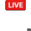 LIVE,アイコン,配信,ライブ配信,赤ラベル,小動物
