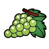 ぶどう,果物,緑,イラスト